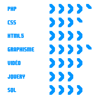 Mes performances en rapport avec l'intégration multimédia.